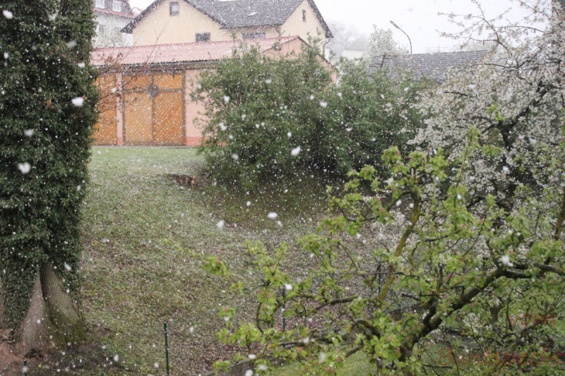 Bildla Nummera 002.jpg