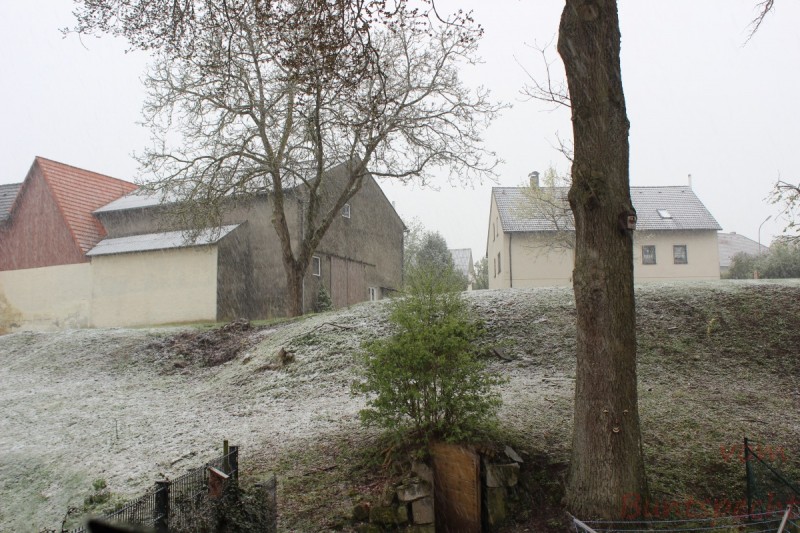 Bildla Nummera 003.jpg