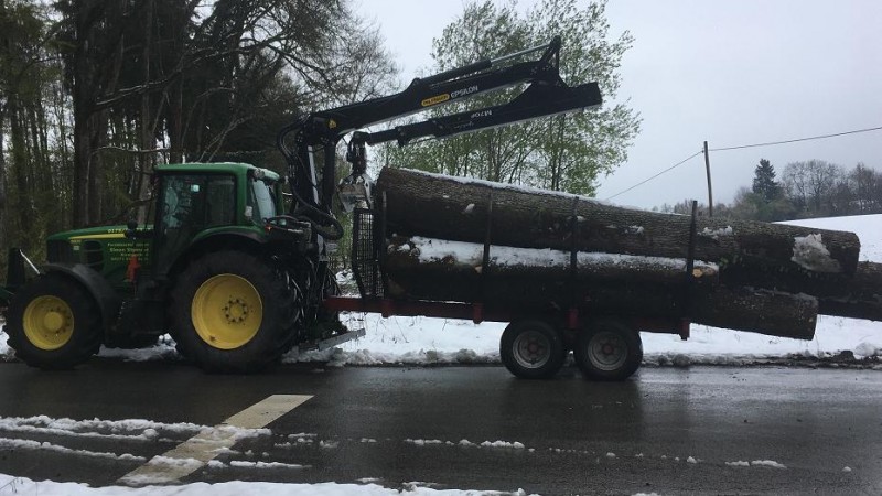 Laubstammholz zusammenfahren.jpg