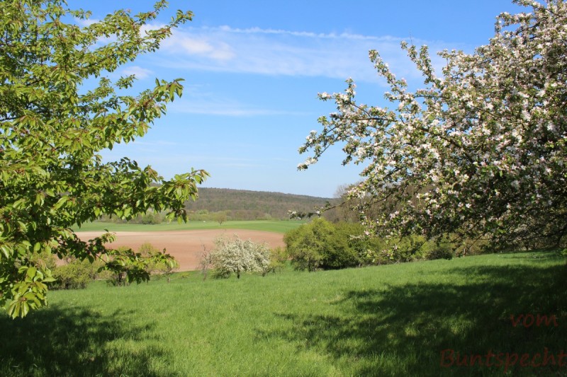 Bildla Nummera 001.jpg