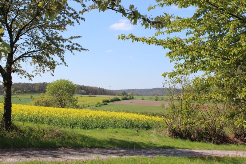 Bildla Nummera 004.jpg