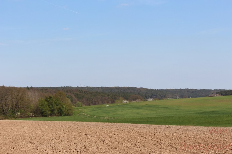 Bildla Nummera 005.jpg