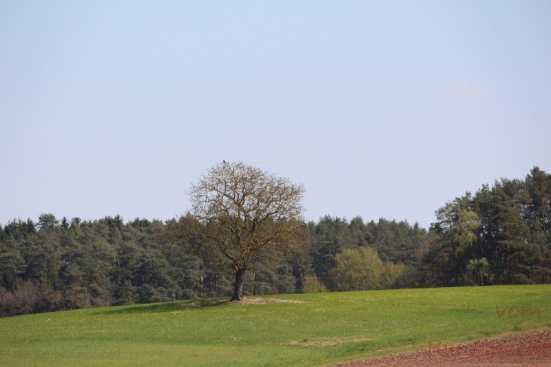 Bildla Nummera 006.jpg