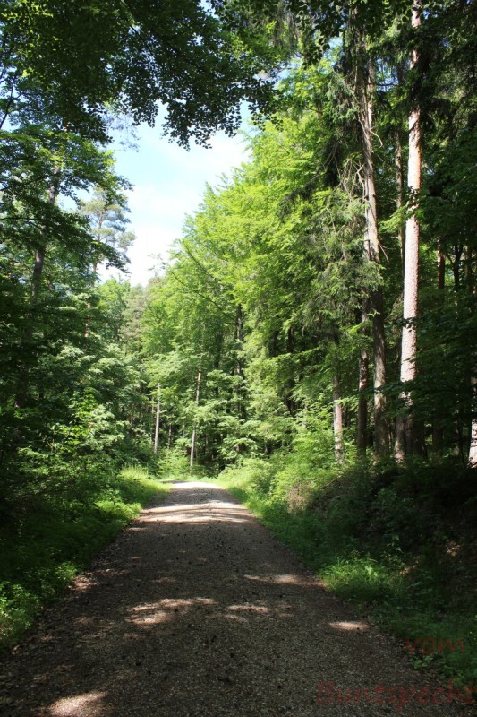 Bildla Nummera 004.jpg