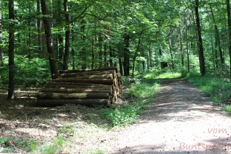 Bildla Nummera 005.jpg