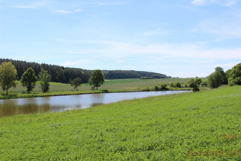 Bildla Nummera 011.jpg