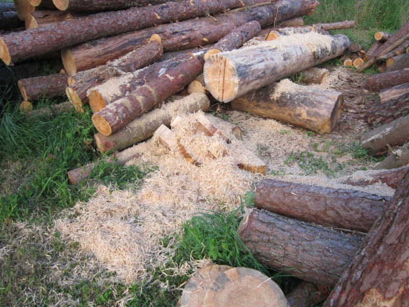 Bildla Nummera 002.jpg