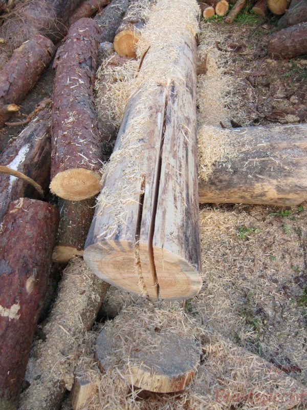 Bildla Nummera 001.jpg