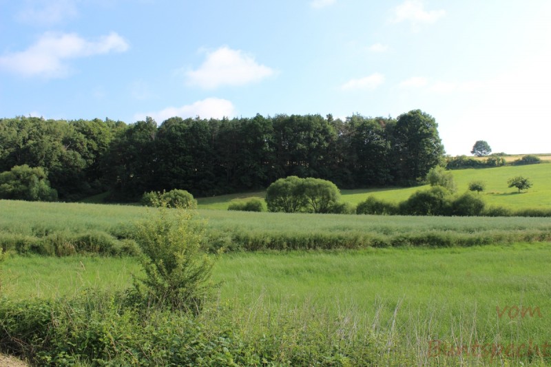 Bildla Nummera 001.jpg