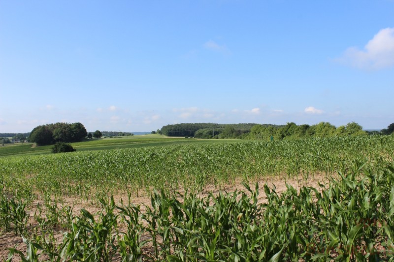 Bildla Nummera 003.jpg