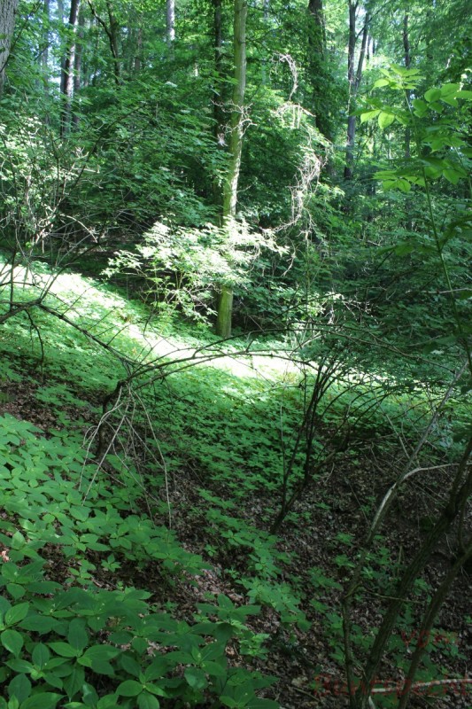 Bildla Nummera 007.jpg