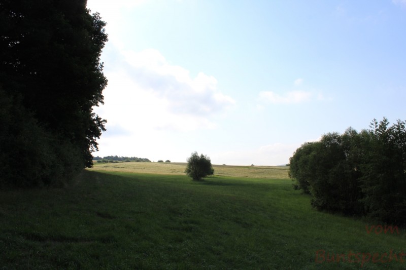 Bildla Nummera 019.jpg