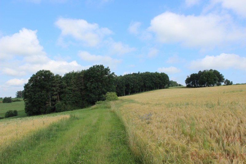 Bildla Nummera 022.jpg