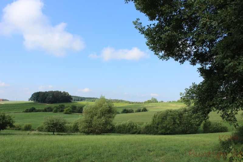 Bildla Nummera 023.jpg