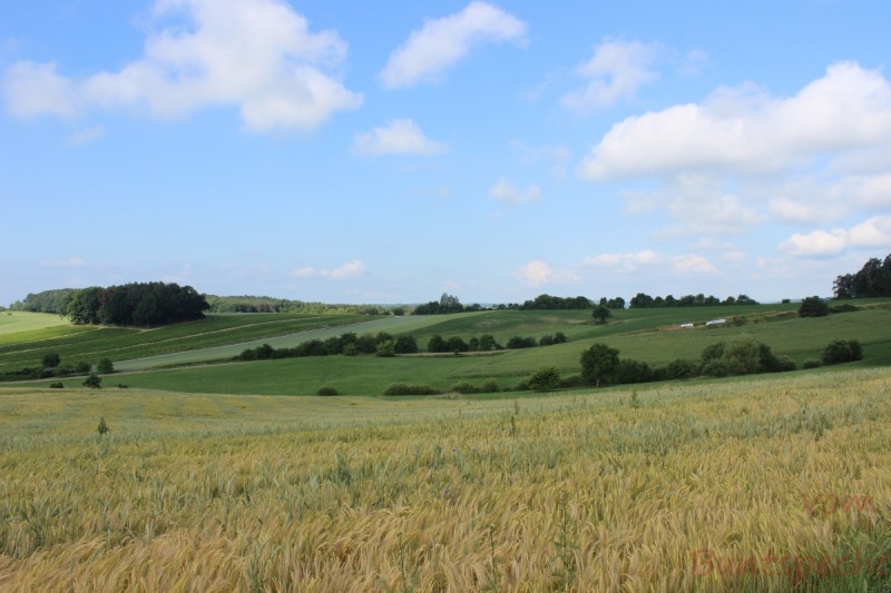 Bildla Nummera 025.jpg