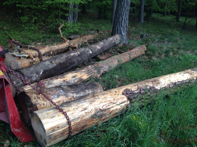 Bildla Nummera 006.jpg