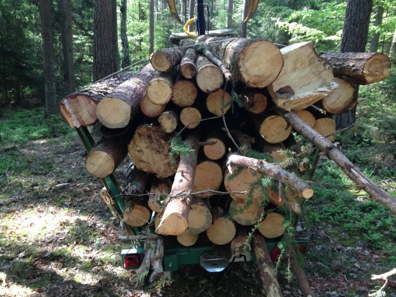 Bildla Nummera 011.jpg