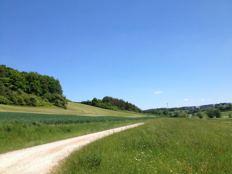 Bildla Nummera 016.jpg