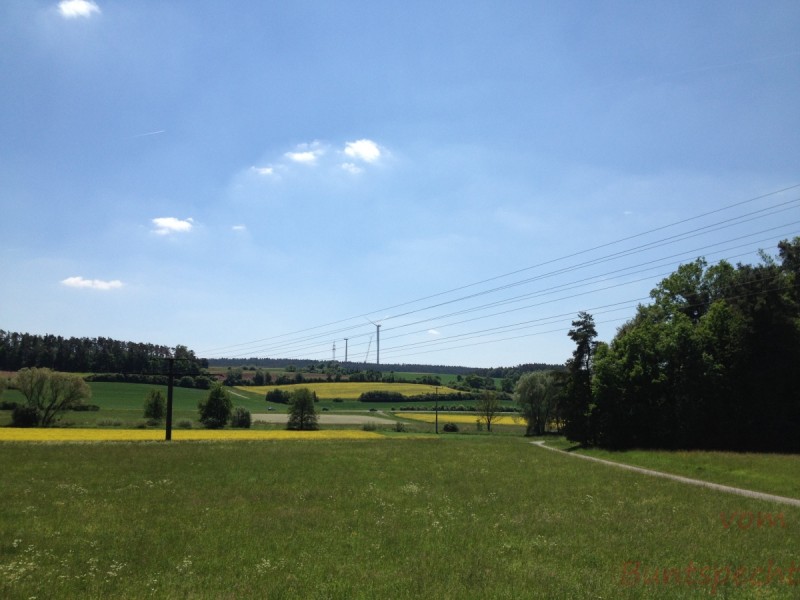 Bildla Nummera 017.jpg