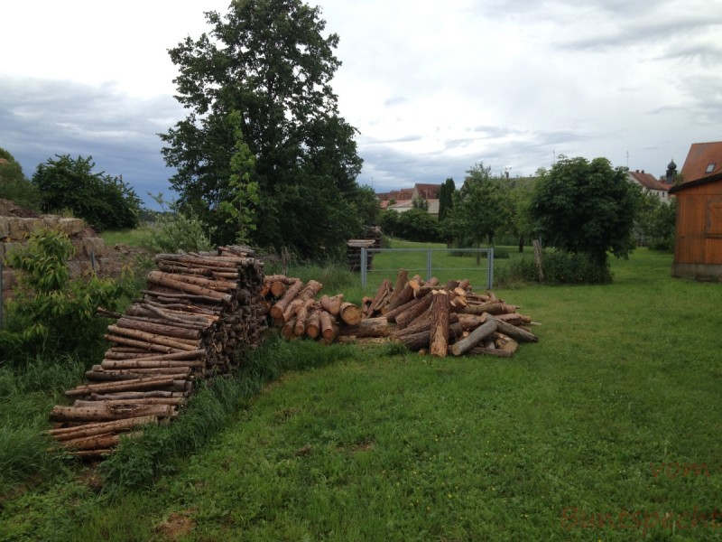 Bildla Nummera 020.jpg