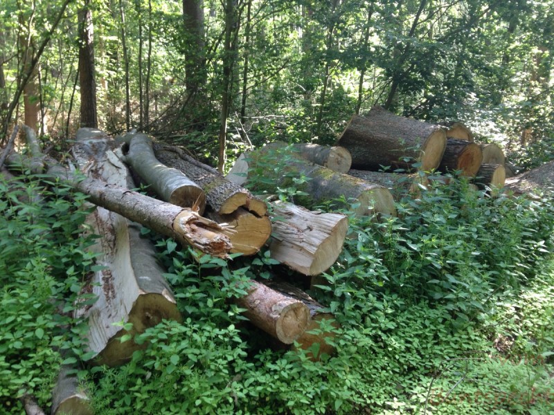 Bildla Nummera 024.jpg