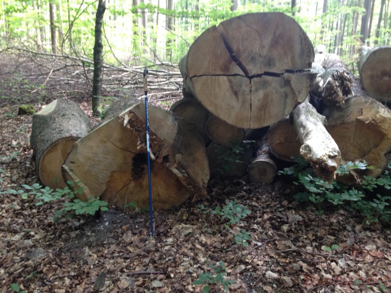 Bildla Nummera 025.jpg