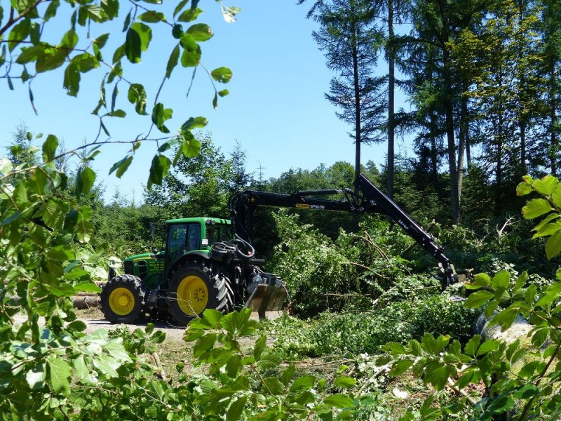 Hütte freihauen 8.jpg