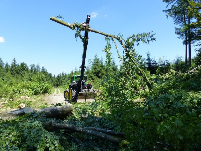 Hütte freihauen 7.jpg