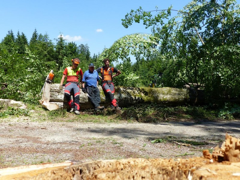 Hütte freihauen 5.jpg