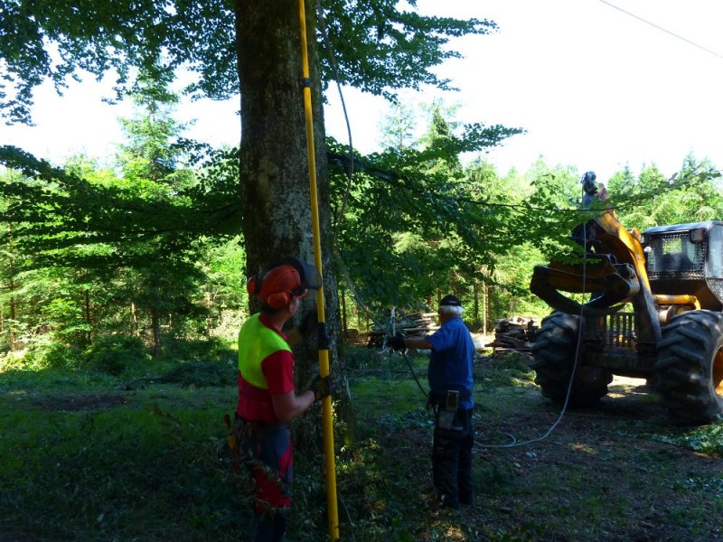 Hütte freihauen3.jpg