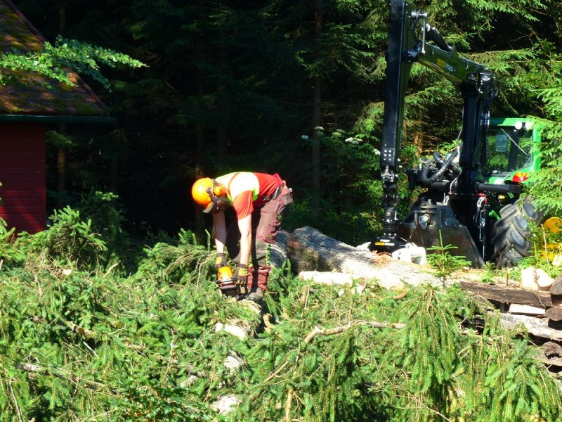 Hütte freihauen 1.jpg