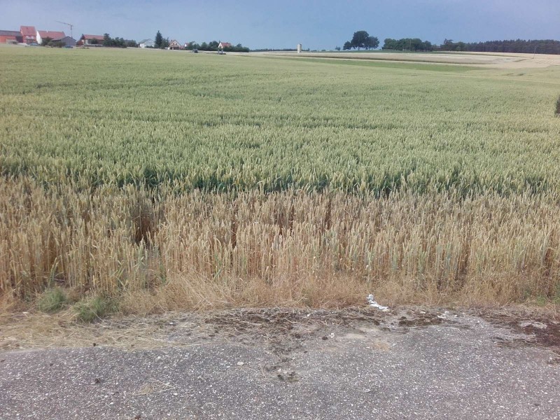 2017-07-09 Einfahrt 2.jpg