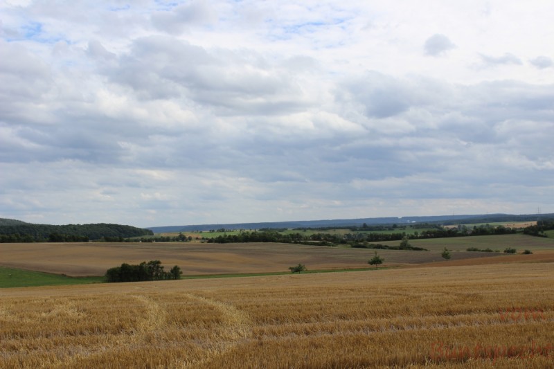 Bildla Nummera 001.jpg