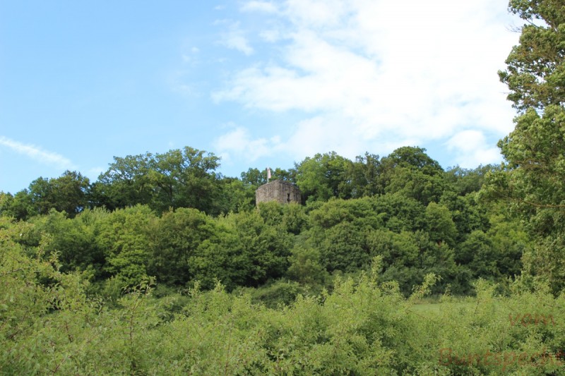 Bildla Nummera 003.jpg