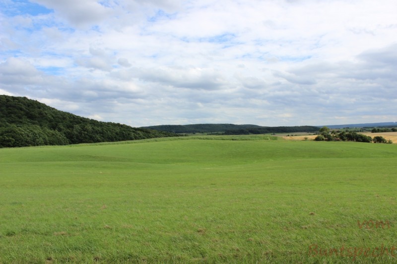 Bildla Nummera 004.jpg