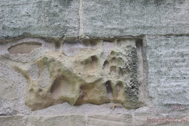 Bildla Nummera 006.jpg