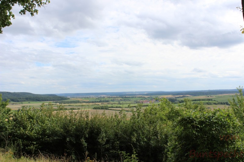 Bildla Nummera 009.jpg