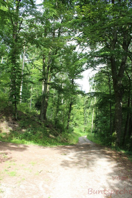 Bildla Nummera 010.jpg