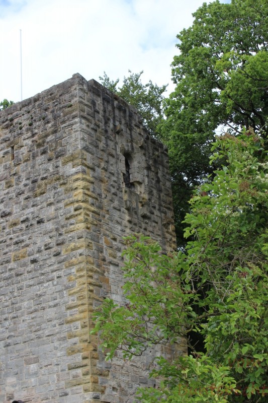 Bildla Nummera 011.jpg