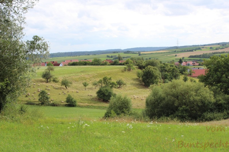 Bildla Nummera 012.jpg