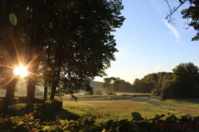 Bildla Nummera 003.jpg