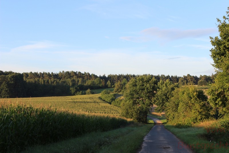 Bildla Nummera 004.jpg