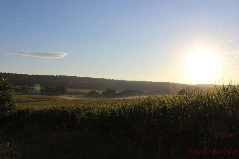 Bildla Nummera 005.jpg