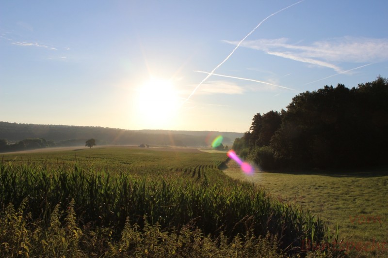 Bildla Nummera 006.jpg