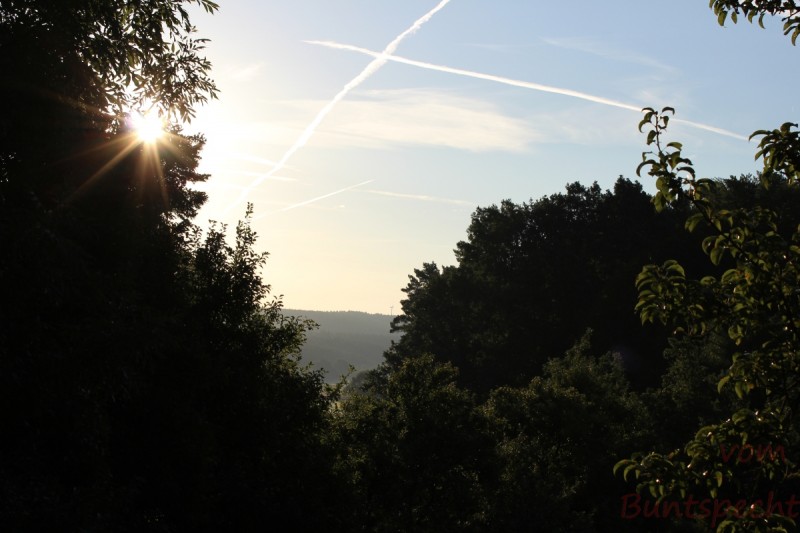 Bildla Nummera 007.jpg