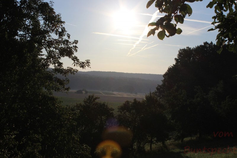 Bildla Nummera 008.jpg