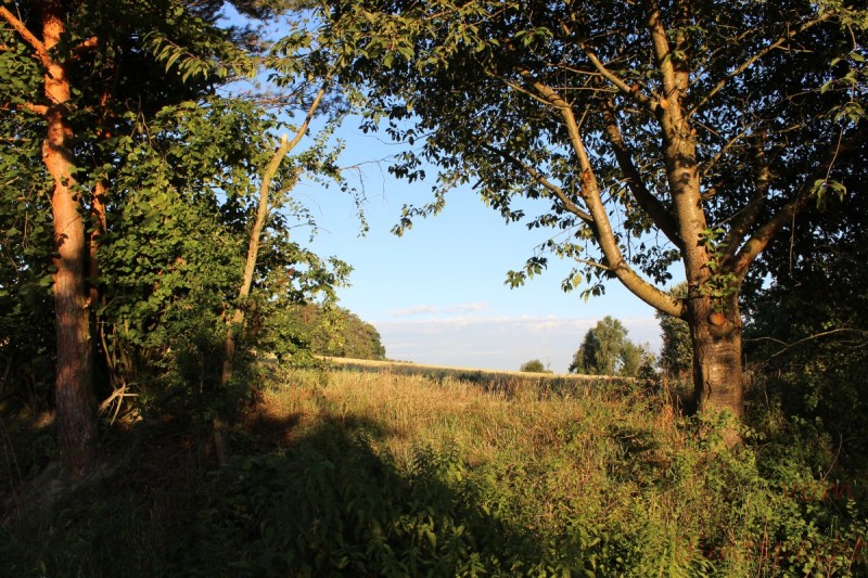 Bildla Nummera 009.jpg