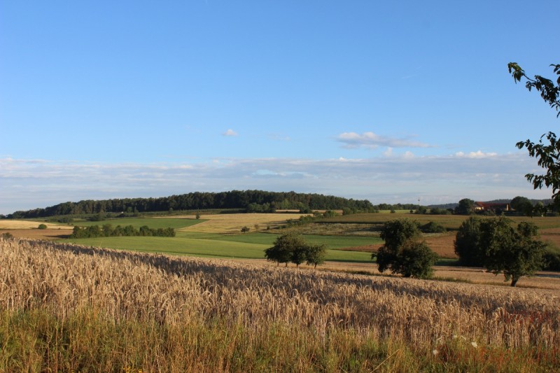 Bildla Nummera 010.jpg