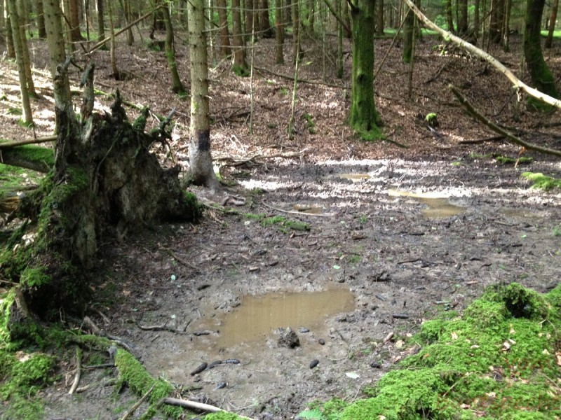 Bildla Nummera 015.jpg