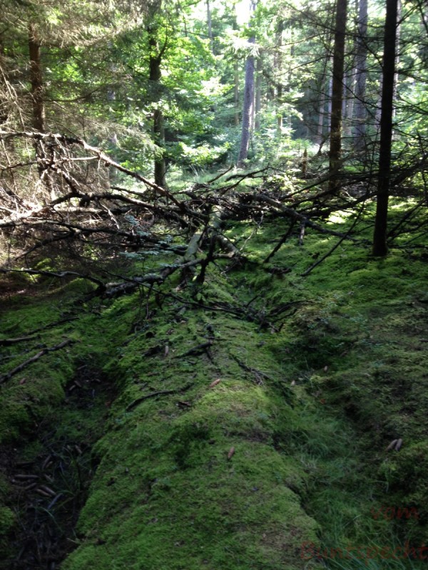 Bildla Nummera 016.jpg